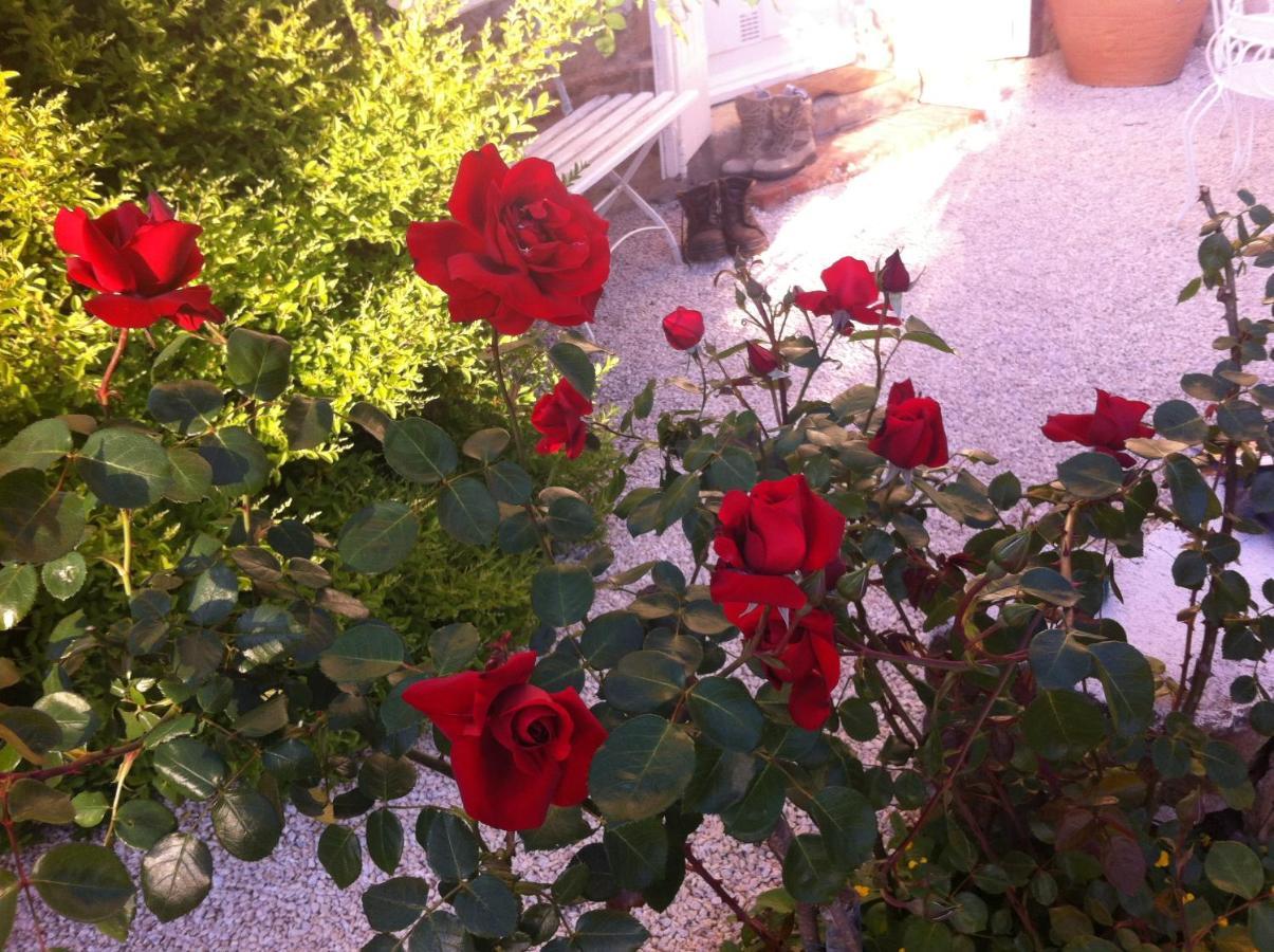 L'Ecrin Bed & Breakfast Villeneuve-sur-Lot Exterior photo